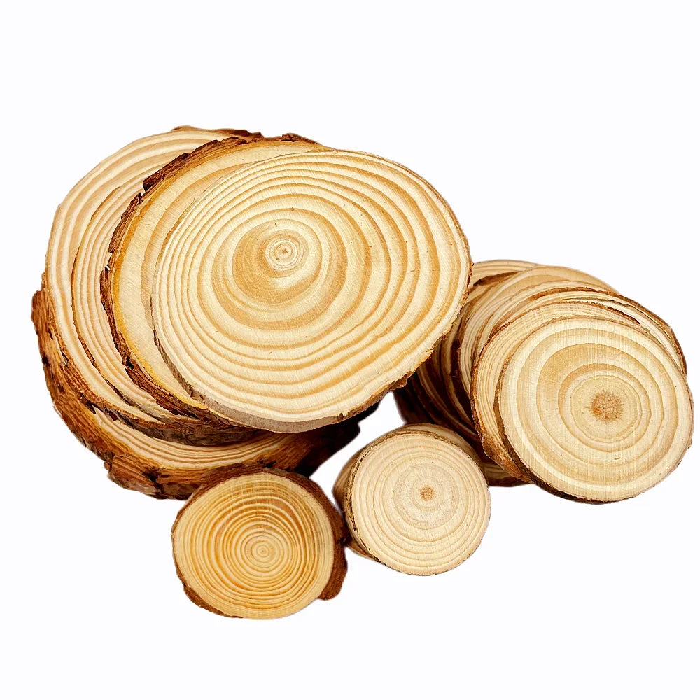 Natural Pine Wood Slices – Round Unfinished Craft Discs with Bark