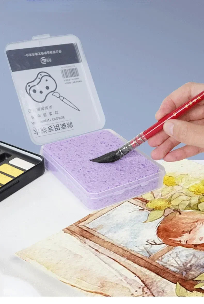 Watercolor Painting Cleaning Sponge